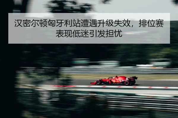 han-mi-er-dun-xiong-ya-li-zhan-zao-yu-sheng-ji-shi-xiao-pai-wei-sai-biao-xian-di-mi-yin-fa-dan-you-2-403.jpg