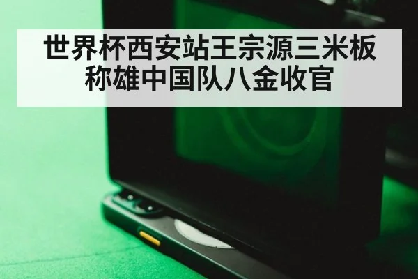 世界杯西安站王宗源三米板称雄中国队八金收官